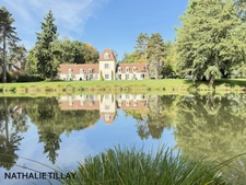 Sologne Plateau, country estate for sale: 33-hectare park, swimming pool, tennis court, typical Sologne biotope: woods, forest, meadows, ponds, small game hunting and fishing. Near Orleans. 