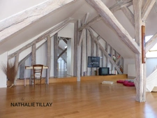 St jean le Blanc, proche Orleans, à vendre, maison de Maitre du XIX eme de 423 M² habitables,  490 AU SOL, avec piscine, parc arboré de 4655 m²  