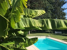 Orléans limite Olivet, proche bord Loiret , à vendre maison avec jardin