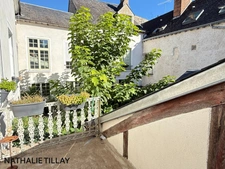 Orleans centre historique, maison hotel particulier, a vendre,  jardin et dependances