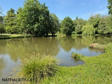 Sologne Plateau, country estate for sale: 33-hectare park, swimming pool, tennis court, typical Sologne biotope: woods, forest, meadows, ponds, small game hunting and fishing. Near Orleans. 