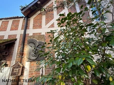 Hotel particulier de 1850 ,  à vendre ,  jardin et garage,  Orleans cathédrale