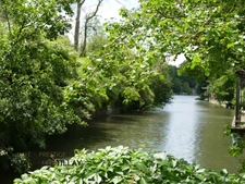Dpt Loiret (45), for sale OLIVET bord du Loiret house P7 of 247.22 m² - Land of 1,123.00 m²