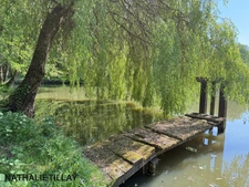Sologne Plateau, country estate for sale: 33-hectare park, swimming pool, tennis court, typical Sologne biotope: woods, forest, meadows, ponds, small game hunting and fishing. Near Orleans. 