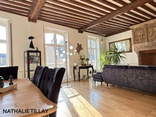  Orleans centre, Appartement bourgeois à vendre , petite copropriete