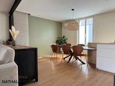 Orleans Dunois, a vendre, maison principale et maison d amis, ensemble avec  jardin, porche d 'entrée possible 2 stationnements.