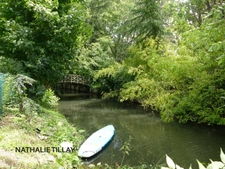 Dpt Loiret (45), for sale OLIVET bord du Loiret house P7 of 247.22 m² - Land of 1,123.00 m²