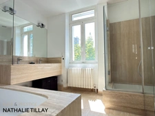 Orleans Dunois, a vendre, maison principale et maison d amis, ensemble avec  jardin, porche d 'entrée possible 2 stationnements.