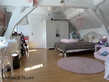 Property for sale, superb renovated mill bordering the river, east of Orleans, 4500 m² plot