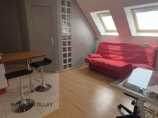 La chapelle St Mesmin, near Orleans, architect's house of 200 m² for sale, swimming pool, open view of the woods, land 1700 m²