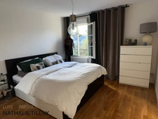 Orléans ,  à vendre, belle maison contemporaine,  design et parfait etat,  sous sol chauffé de 90 m², garage vélos et jardin