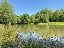 Sologne Plateau, country estate for sale: 33-hectare park, swimming pool, tennis court, typical Sologne biotope: woods, forest, meadows, ponds, small game hunting and fishing. Near Orleans. 
