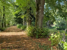 Maîson de Maître, proche Orléans, chateau, à  vendre, Orléans est, parc et dependances.