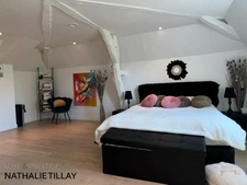 Property for sale, superb renovated mill bordering the river, east of Orleans, 4500 m² plot
