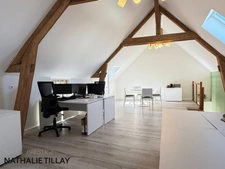 Olivet bourg , a vendre , Maison bourgeoise et dépendance aménagée ,  cour intérieure et jardin  
