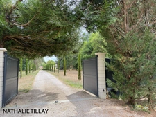 Sologne Plateau, country estate for sale: 33-hectare park, swimming pool, tennis court, typical Sologne biotope: woods, forest, meadows, ponds, small game hunting and fishing. Near Orleans. 