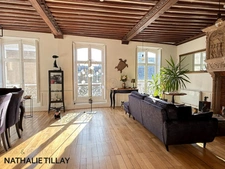  Orleans centre, Appartement bourgeois à vendre , petite copropriete