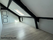 Orleans, appartement Loft duplex de 130 m² à vendre, ascenseur, garage,Vue cathédrale exceptionnelle,   