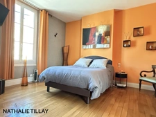 Orleans St Marceau, house for sale, garden and swimming pool, perfect condition, a real gem