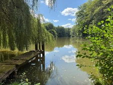 Sologne Plateau, country estate for sale: 33-hectare park, swimming pool, tennis court, typical Sologne biotope: woods, forest, meadows, ponds, small game hunting and fishing. Near Orleans. 