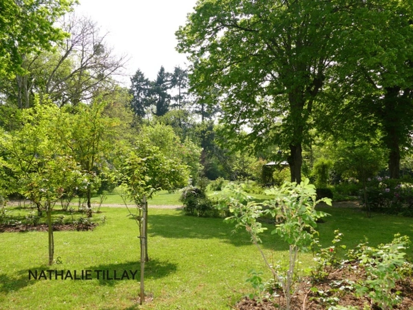 SAINT PRYVE SAINT MESMIN a vendre , propriete maison de maitre, bord du Loiret  , 287 m² habitables, parc de 1ha. 