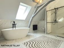 Propriété, Maison à vendre proche Orléans, 380 m² habitables, 450 m² au sol, LA CHAPELLE SAINT MESMIN 