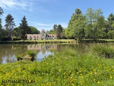 Sologne Plateau, country estate for sale: 33-hectare park, swimming pool, tennis court, typical Sologne biotope: woods, forest, meadows, ponds, small game hunting and fishing. Near Orleans. 