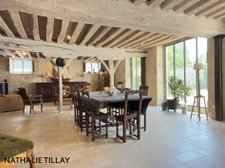 Chateau , propriete à St Jean de Braye, à vendre, Orléans est, parc et dependances.