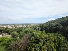 BORGO – Propriété à fort potentiel : 393 m² habitables + 2 980 m² de terrain – 395 000 €