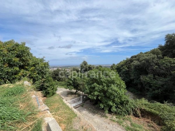 BORGO – Propriété à fort potentiel : 393 m² habitables + 2 980 m² de terrain – 395 000 €