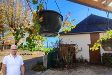 Maison viager à vendre occupé 3 pièces AOSTE (38)