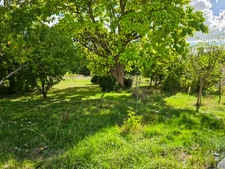 Du charme, de beaux volumes de plain-pied et un jardin arboré : découvrez cette maison pleine de potentiel