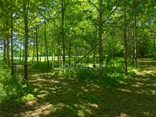 Un havre de paix au coeur de la nature : découvrez cette propriété pleine de charme aux possibilités infinies, sur près de 2 hectares, sans aucun vis-à-vis
