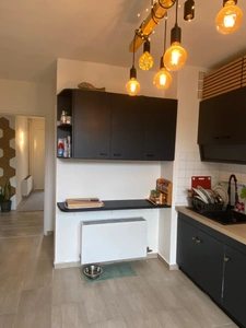 Dpt Haute Garonne (31), à vendre REVEL maison P6   