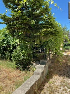 Maison à vendre 5 pièces REVEL (31)