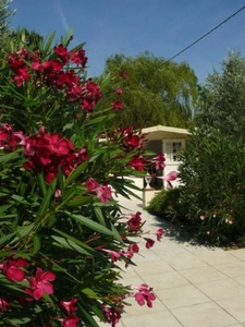 Dpt Haute Garonne (31), à vendre SAINT JULIA maison P8 de 287 m² - Terrain de 4680  - Plain pied