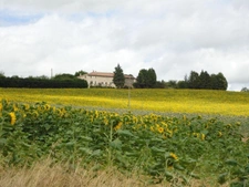 Dpt Haute Garonne (31), à vendre SAINT JULIA maison P8 de 287 m² - Terrain de 4680  - Plain pied