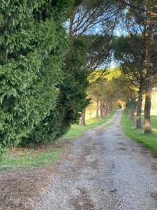 Propriete à vendre 7 pièces SOREZE (81)