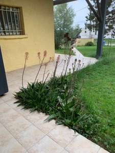 Dpt Haute Garonne (31), à vendre SAINT JEAN maison P7 de 200 m² - Terrain de 3 000,00 m² 