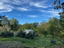 Maison à vendre 5 pièces FREJEVILLE (81)