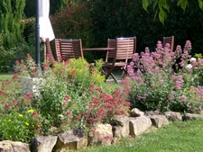 Dpt Haute Garonne (31), à vendre SAINT JULIA maison P8 de 287 m² - Terrain de 4680  - Plain pied