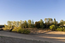 Maison à vendre 10 pièces CADALEN (81)