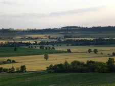 Dpt Haute Garonne (31), à vendre SAINT JULIA maison P8 de 287 m² - Terrain de 4680  - Plain pied