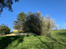 Dpt Haute Garonne (31), à vendre SAINT JEAN maison P7 de 200 m² - Terrain de 3 000,00 m² 