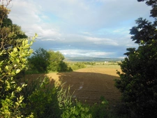 Dpt Haute Garonne (31), à vendre SAINT JULIA maison P8 de 287 m² - Terrain de 4680  - Plain pied