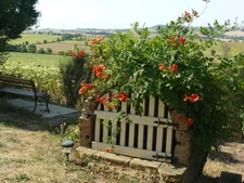 Dpt Haute Garonne (31), à vendre SAINT JULIA maison P8 de 287 m² - Terrain de 4680  - Plain pied