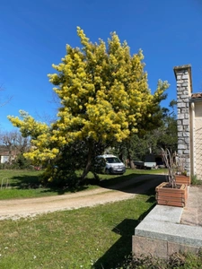 Dpt Haute Garonne (31), à vendre REVEL maison P4   
