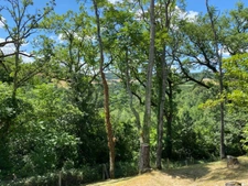 Dpt Tarn (81), à vendre PUYLAURENS maison P9 de 260 m² - Terrain de 5 571,00 m² 