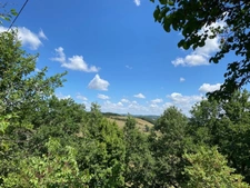 Dpt Tarn (81), à vendre PUYLAURENS maison P9 de 260 m² - Terrain de 5 571,00 m² 