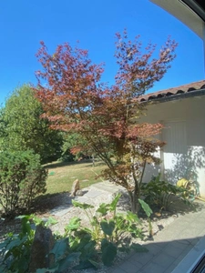Maison à vendre 8 pièces TOURNEFEUILLE (31)